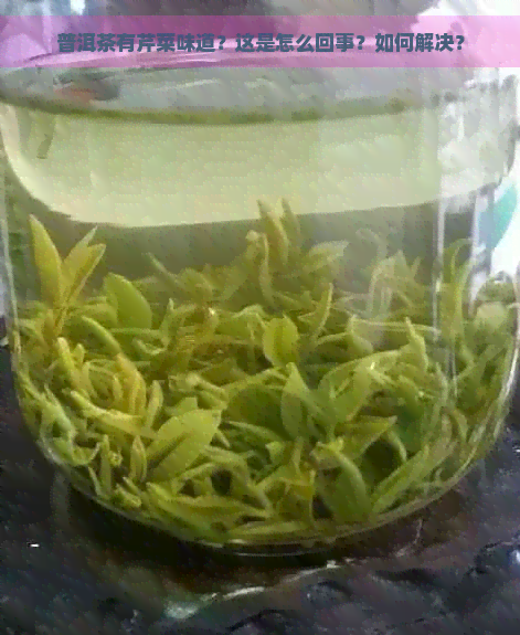 普洱茶有芹菜味道？这是怎么回事？如何解决？