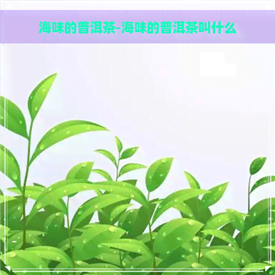 海味的普洱茶-海味的普洱茶叫什么