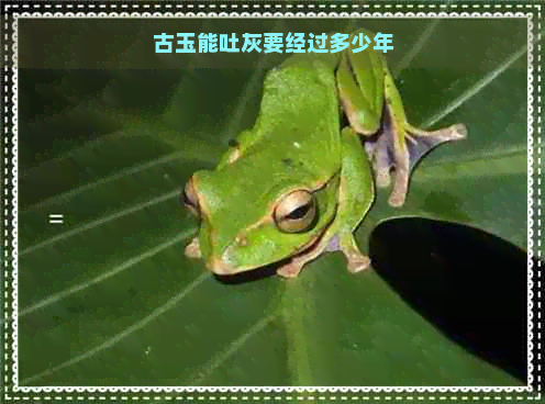 古玉能吐灰要经过多少年