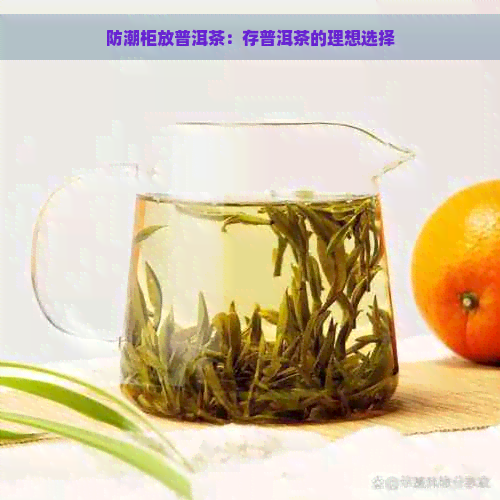 防潮柜放普洱茶：存普洱茶的理想选择