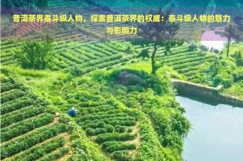 普洱茶界泰斗级人物，探索普洱茶界的权威：泰斗级人物的魅力与影响力