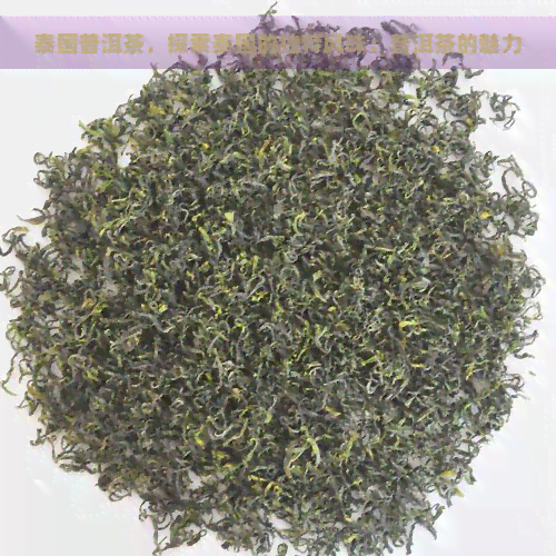 泰国普洱茶，探索泰国的独特风味：普洱茶的魅力