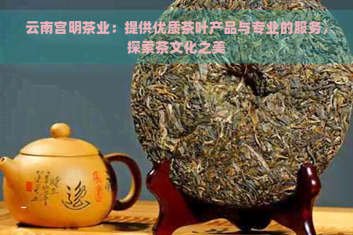 云南宫明茶业：提供优质茶叶产品与专业的服务，探索茶文化之美