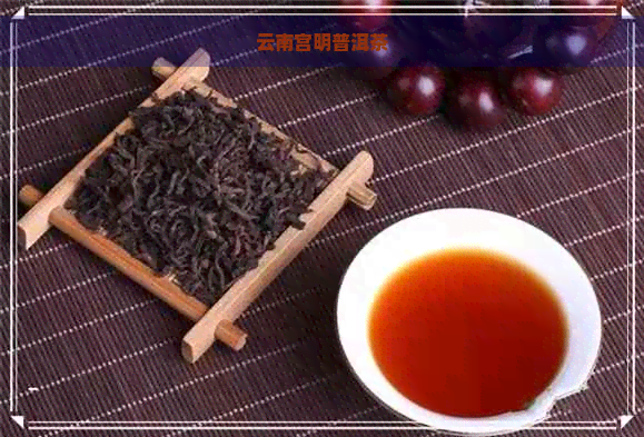 云南宫明普洱茶