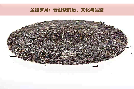 金缕岁月：普洱茶的历、文化与品鉴