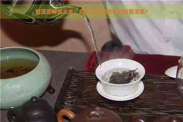 普洱茶种类大全：如何选择最适合您的普洱茶？