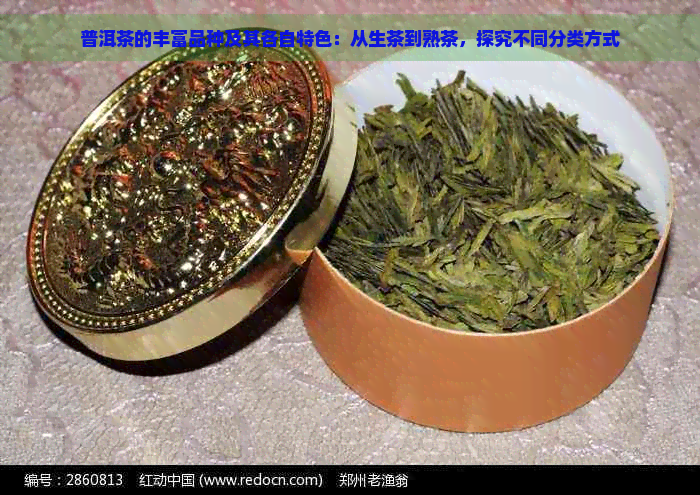 普洱茶的丰富品种及其各自特色：从生茶到熟茶，探究不同分类方式