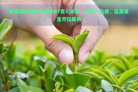 普洱茶念饼2019款327克：年份、产地、口感、品质等全方位解析