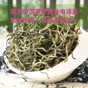 临沂普洱茶管理处电话及地址全览：专卖店信息一网打尽