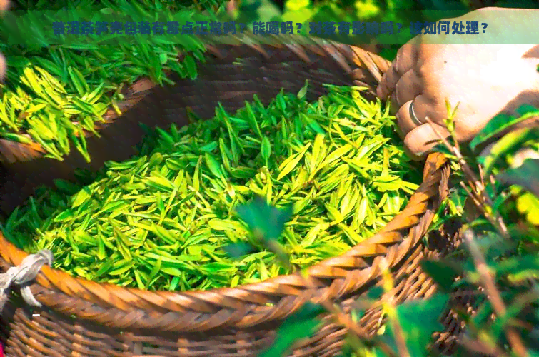 普洱茶笋壳包装有霉点正常吗？能喝吗？对茶有影响吗？该如何处理？