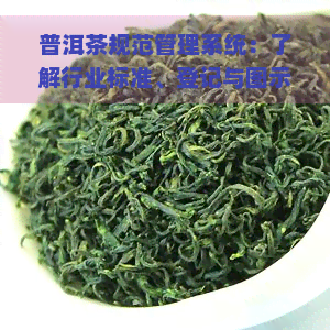 普洱茶规范管理系统：了解行业标准、登记与图示