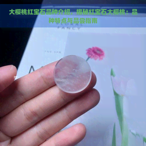 大樱桃红宝石品种介绍，揭秘红宝石大樱桃：品种特点与品尝指南