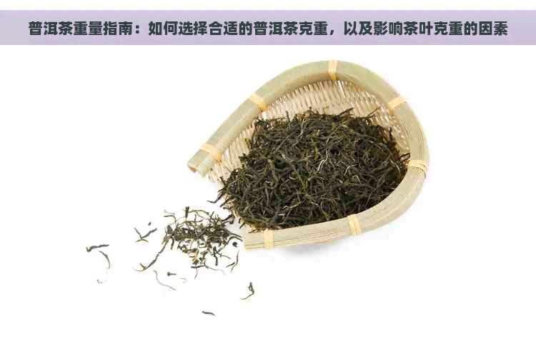 普洱茶重量指南：如何选择合适的普洱茶克重，以及影响茶叶克重的因素