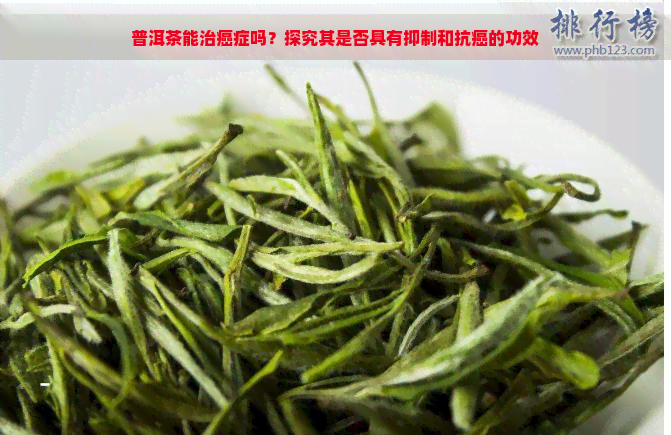 普洱茶能治癌症吗？探究其是否具有抑制和抗癌的功效