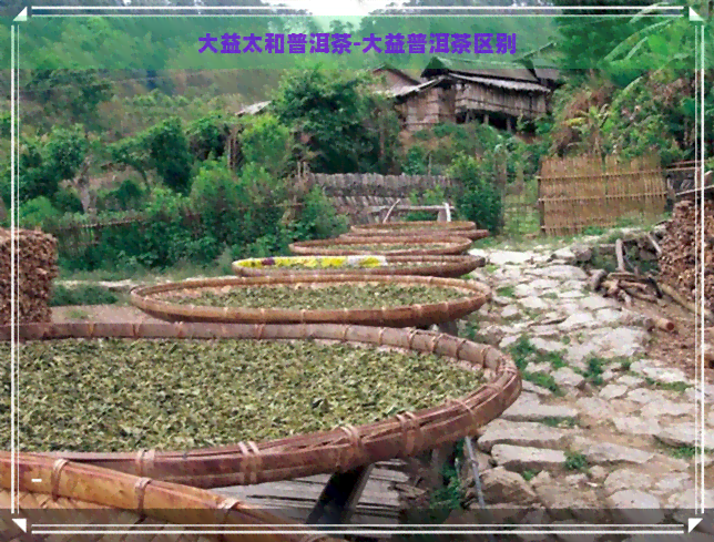 大益太和普洱茶-大益普洱茶区别