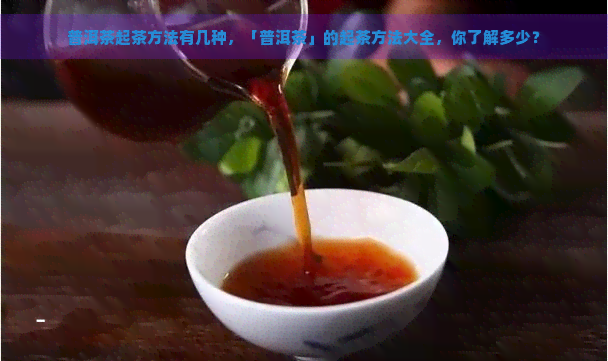 普洱茶起茶方法有几种，「普洱茶」的起茶方法大全，你了解多少？