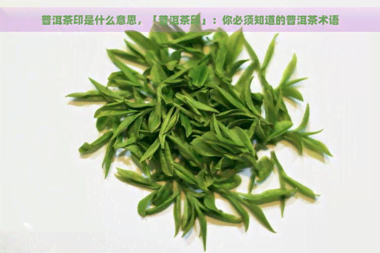 普洱茶印是什么意思，「普洱茶印」：你必须知道的普洱茶术语