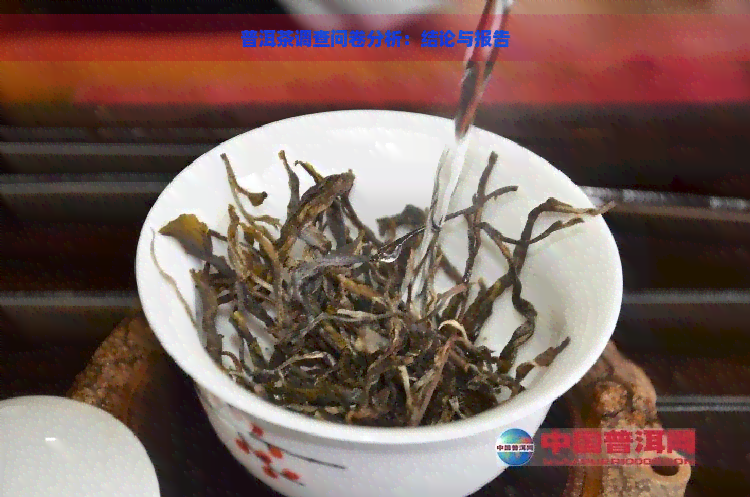 普洱茶调查问卷分析：结论与报告