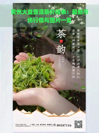 贵州大益普洱茶价格表：最新市场行情与图片一览