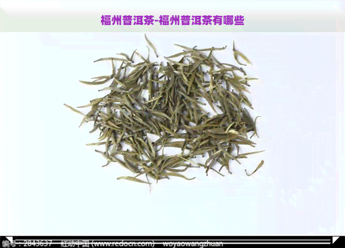 福州普洱茶-福州普洱茶有哪些