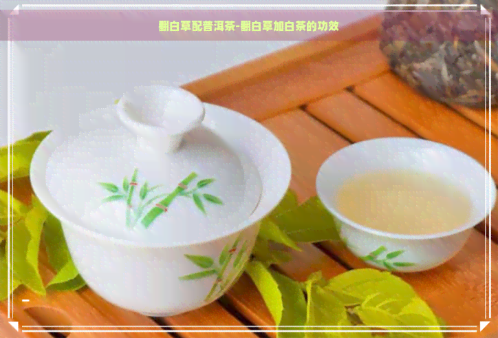 翻白草配普洱茶-翻白草加白茶的功效