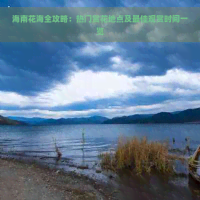 海南花海全攻略：热门赏花地点及更佳观赏时间一览