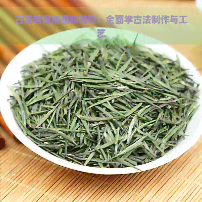 古茶普洱茶视频教程：全面学古法制作与工艺