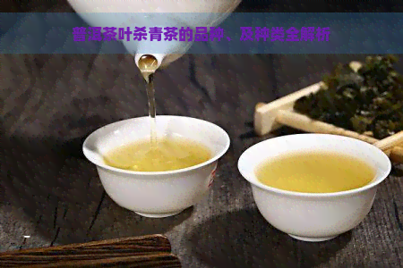 普洱茶叶杀青茶的品种、及种类全解析