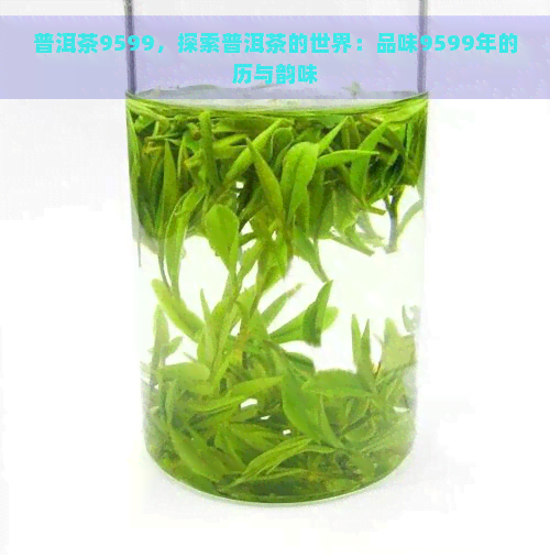 普洱茶9599，探索普洱茶的世界：品味9599年的历与韵味