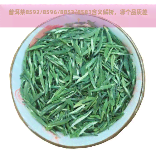 普洱茶8592/8596/8853/8581含义解析，哪个品质差？