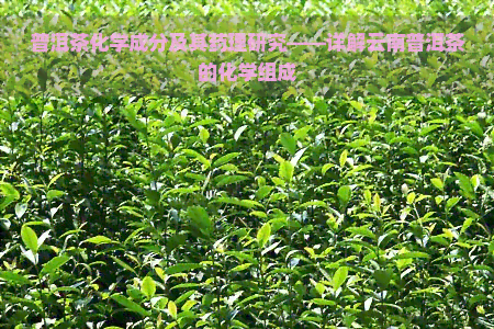 普洱茶化学成分及其药理研究——详解云南普洱茶的化学组成