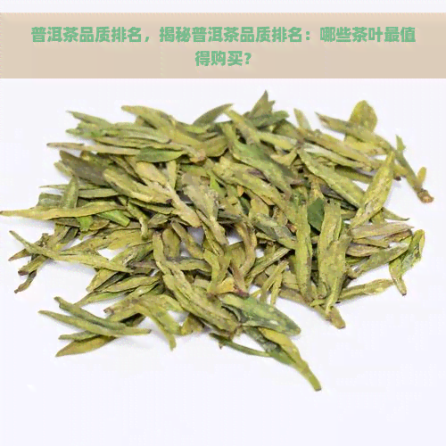 普洱茶品质排名，揭秘普洱茶品质排名：哪些茶叶最值得购买？