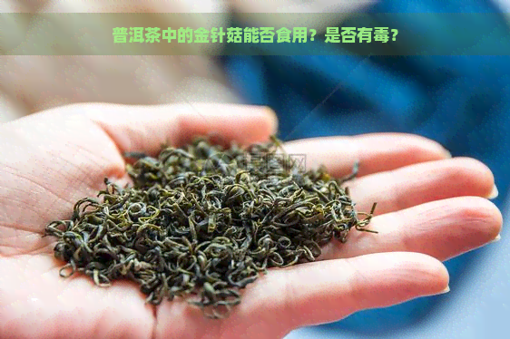 普洱茶中的金针菇能否食用？是否有？