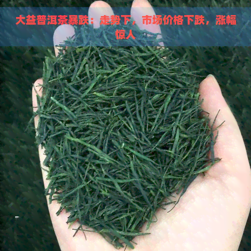 大益普洱茶暴跌：走势下，市场价格下跌，涨幅惊人