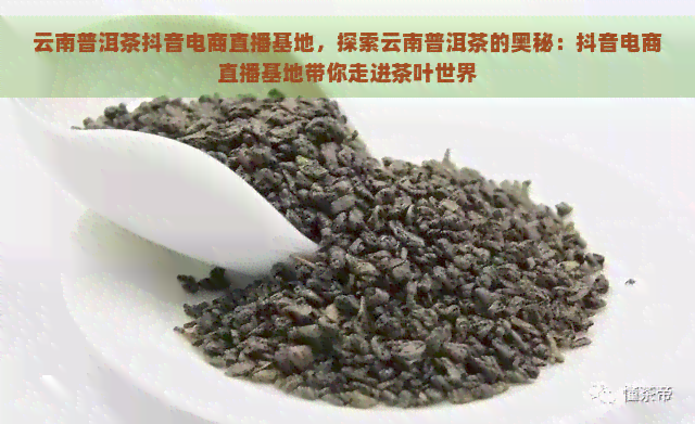 云南普洱茶抖音电商直播基地，探索云南普洱茶的奥秘：抖音电商直播基地带你走进茶叶世界