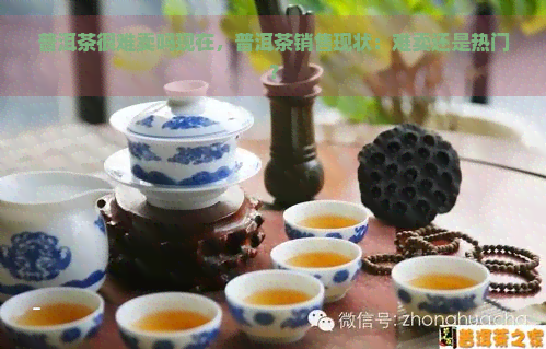 普洱茶很难卖吗现在，普洱茶销售现状：难卖还是热门？