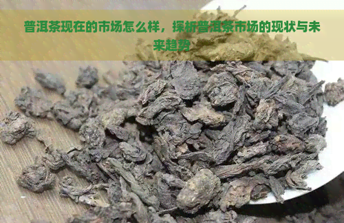 普洱茶现在的市场怎么样，探析普洱茶市场的现状与未来趋势