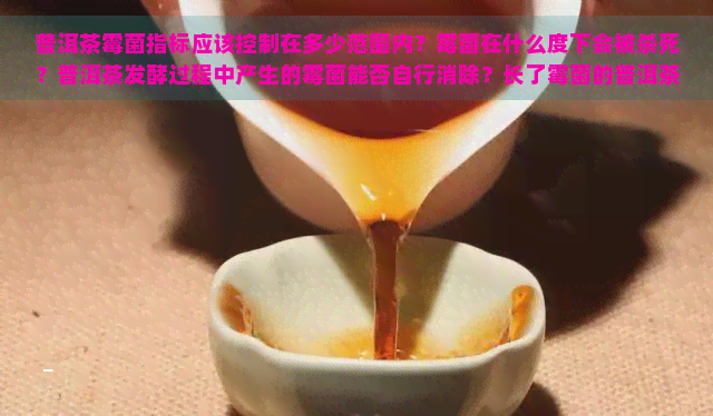 普洱茶霉菌指标应该控制在多少范围内？霉菌在什么度下会被杀死？普洱茶发酵过程中产生的霉菌能否自行消除？长了霉菌的普洱茶是否还能饮用？