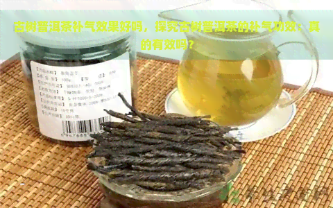 古树普洱茶补气效果好吗，探究古树普洱茶的补气功效：真的有效吗？