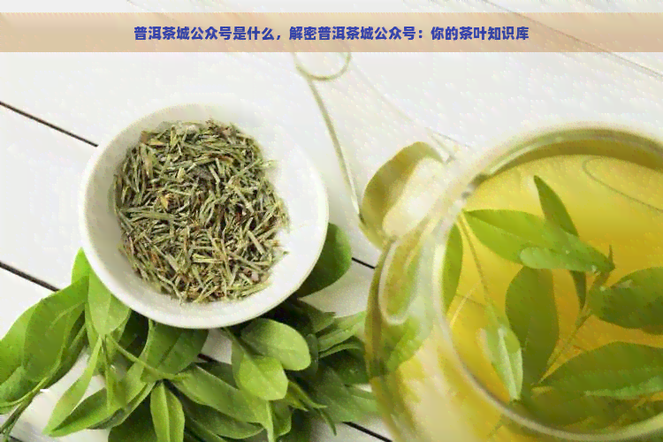 普洱茶城公众号是什么，解密普洱茶城公众号：你的茶叶知识库