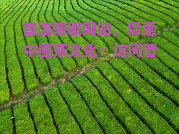 普洱茶城网站，探索中国茶文化：访问普洱茶城网站，了解普洱茶的历、制作和品尝方法