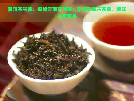 普洱茶曼弄，探秘云南普洱茶：走进曼弄古茶园，品味千年茶香