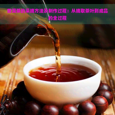 普洱茶的采摘方法及制作过程：从摘取茶叶到成品的全过程