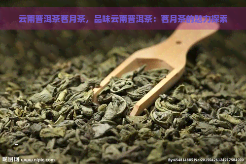 云南普洱茶茗月茶，品味云南普洱茶：茗月茶的魅力探索