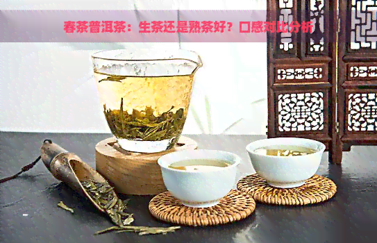 春茶普洱茶：生茶还是熟茶好？口感对比分析