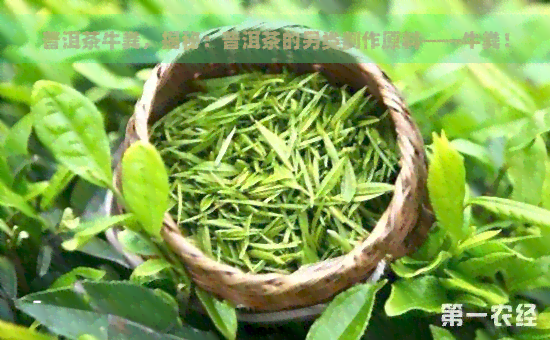 普洱茶牛粪，揭秘：普洱茶的另类制作原料——牛粪！