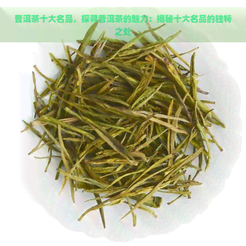 普洱茶十大名品，探寻普洱茶的魅力：揭秘十大名品的独特之处