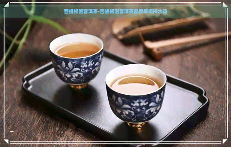 菩提根泡普洱茶-菩提根泡普洱茶需要每天换水吗