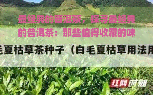 最经典的普洱茶，探寻最经典的普洱茶：那些值得收藏的味道