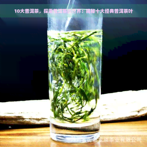 10大普洱茶，探索普洱茶的世界：揭秘十大经典普洱茶叶